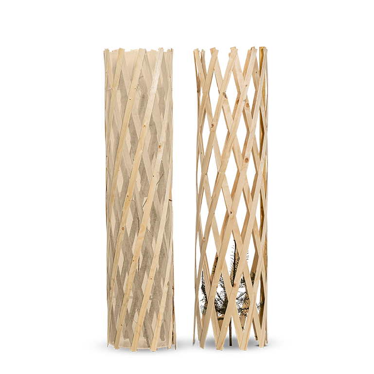 Holzwuchshüllen von LignumGuard